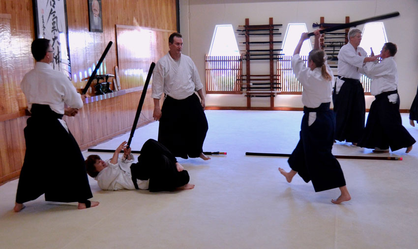 Aikido Randori Intensives with George Ledyard Sensei