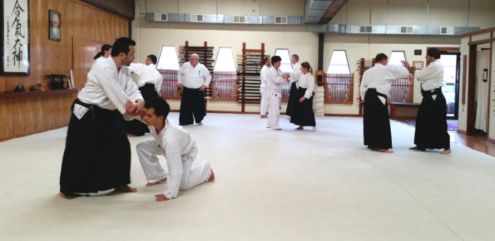 Adult Aikido Classes at Aikido Eastside in Bellevue, WA