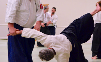 George Ledyard Aikido Seminar