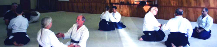 Aikido Classes for adults and children