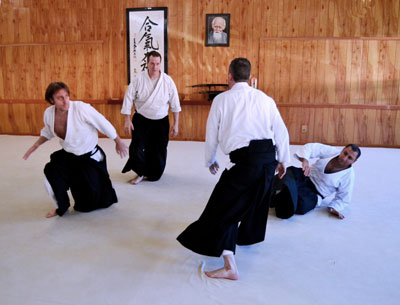 Aikido randori - multiple attacker practice with George Ledyard