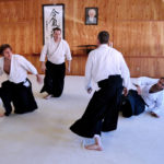 Aikido Randori Training
