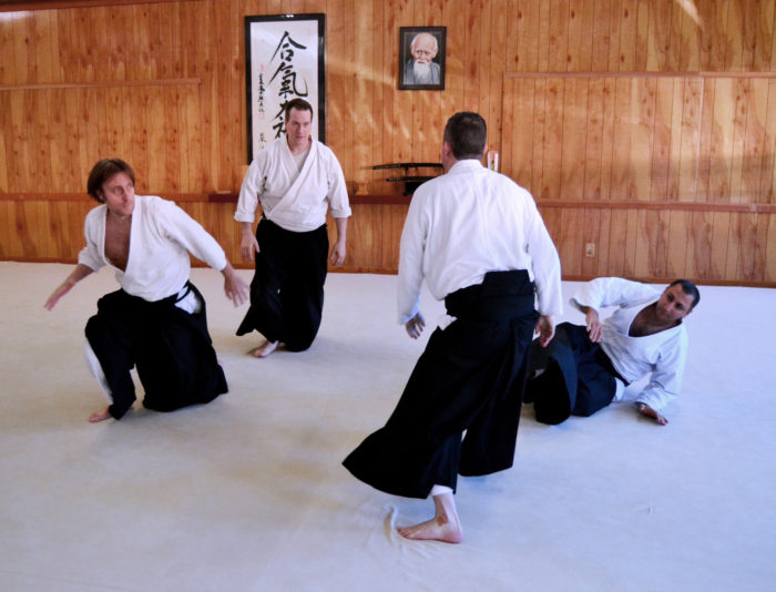 George Ledyard - Aikido Randori