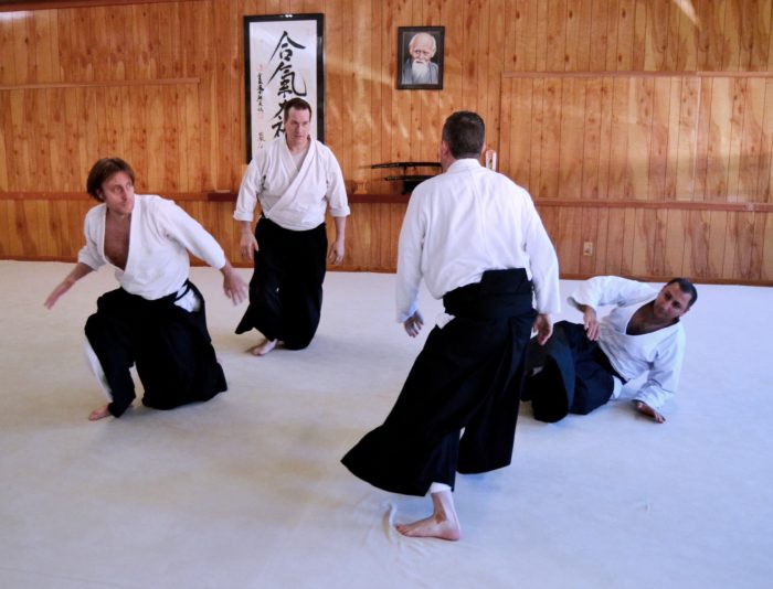 Aikido Randori Training