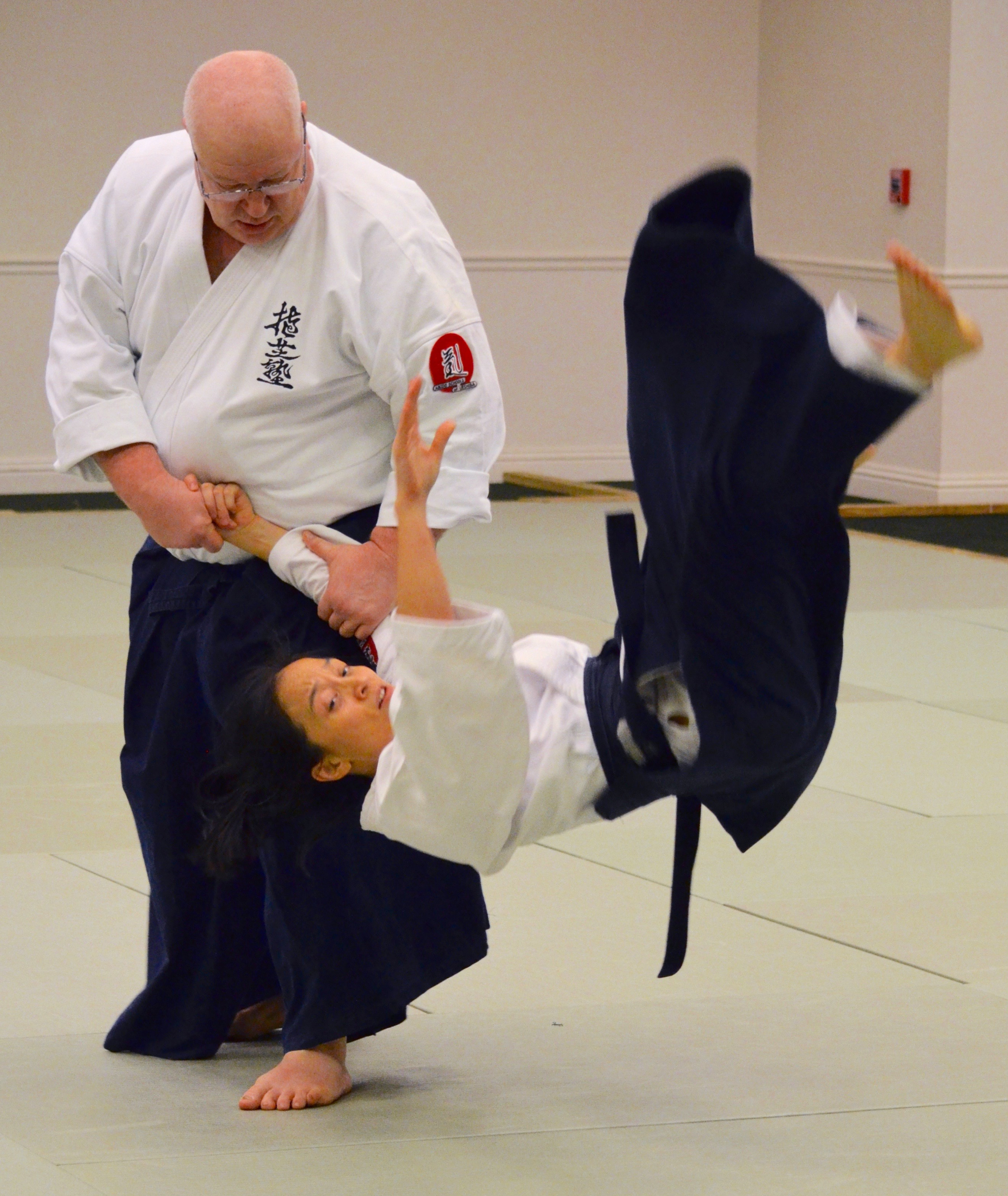 Aikido Seminar with George Ledyard